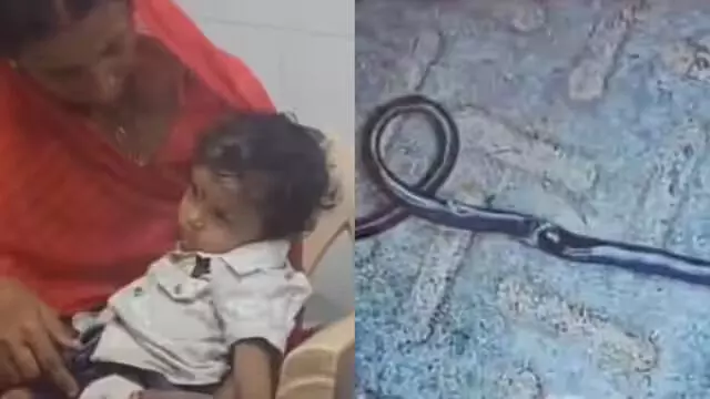 A one-year-old boy was bitten by a snake in Bihar