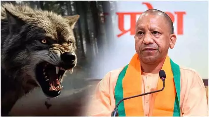 The terror of wolves in Bahraich district