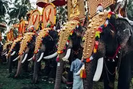 ആനയെഴുന്നള്ളിപ്പിന്റെ മാർഗ്ഗനിർദ്ദേശങ്ങൾ;  ഉത്സവം നടത്താനാകാത്ത സ്ഥിതിയെന്ന് സംഘാടകർ