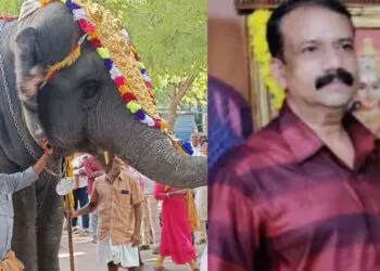 പാപ്പാനെയും ബന്ധുവിനെയും ചവിട്ടിക്കൊന്ന് ആന; സംഭവം തിരുച്ചെന്തൂരിൽ