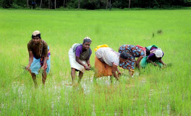 കുട്ടനാട് കാര്‍ഷിക വായ്പാതട്ടിപ്പ്: സ്വാശ്രയ സംഘങ്ങളുടെ ഭാരവാഹികളും പ്രതികളായേക്കും