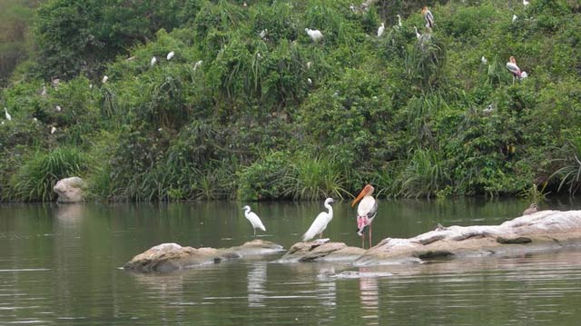 പനമരം ബേര്‍ഡ് റിസര്‍വ് പദവി വൈകുന്നു