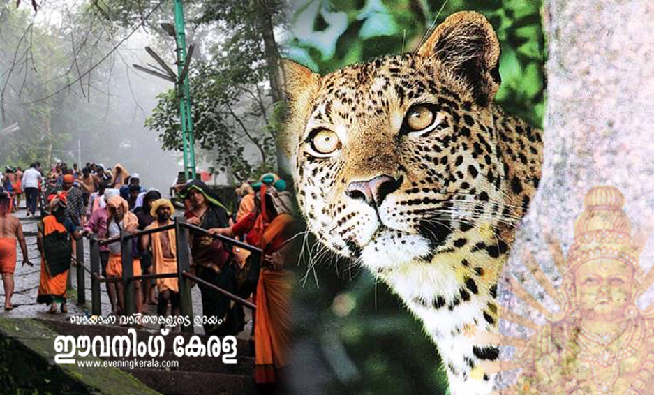 സന്നിധാനത്ത്‌ നീലിമലയിൽ വീണ്ടും പുലിയിറങ്ങി