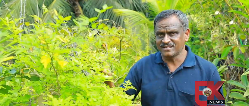 നഗരമധ്യത്തിലെ  വീടിന് മുകളില്‍ ഔഷധ കാടൊരുക്കി  മരുതൂര്‍ക്കടവ് സ്വദേശി ഷാജു
