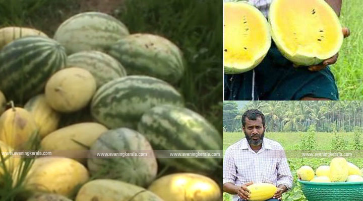 സൂപ്പര്‍സ്റ്റാര്‍ ആയി മാറി കരിഞ്ചാംപാടി തണ്ണിമത്തന്‍