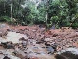 കോഴിക്കോട്ടെ ഉൾവനങ്ങളിൽ കനത്ത മഴ: പുഴകളിൽ ഇറങ്ങരുതെന്ന് ജില്ലാ കളക്ടർ
