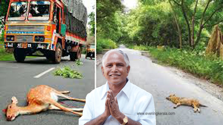 പരിസ്ഥിതിക്കും വന്യമൃഗങ്ങള്‍ക്കും അപകടമുണ്ടാക്കുന്ന രീതിയില്‍ ബന്ദിപ്പൂര്‍ രാത്രിയാത്രാ നിരോധനം പിന്‍വലിയ്ക്കാന്‍ സാധിക്കില്ലെന്ന് കര്‍ണ്ണാടകം