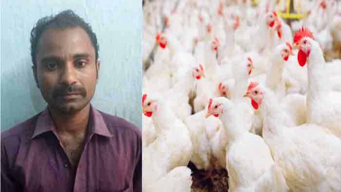 കോഴിയെ ജീവനോടെ തൂവൽ പറിച്ച് വെട്ടി കഷണങ്ങളാക്കി; ഇറച്ചിക്കട ജീവനക്കാരൻ അറസ്റ്റിൽ