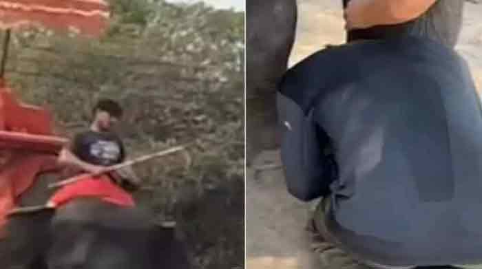 ആനയുടെ മസ്തകത്തിൽ ക്രൂരമായി മർദ്ദിച്ച് പരിശീലകൻ : ആനയുടെ കാൽ പിടിപ്പിച്ച് മാപ്പ് പറയിച്ച് നാട്ടുകാർ” വീഡിയോ