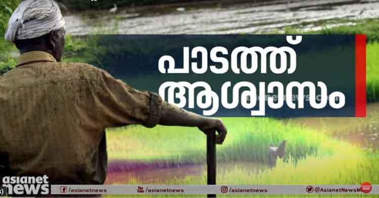 നെല്ല് സംഭരണം തുടങ്ങി ; കർഷകരുടെ കണ്ണീരൊപ്പി ഏഷ്യാനെറ്റ് ന്യൂസ്